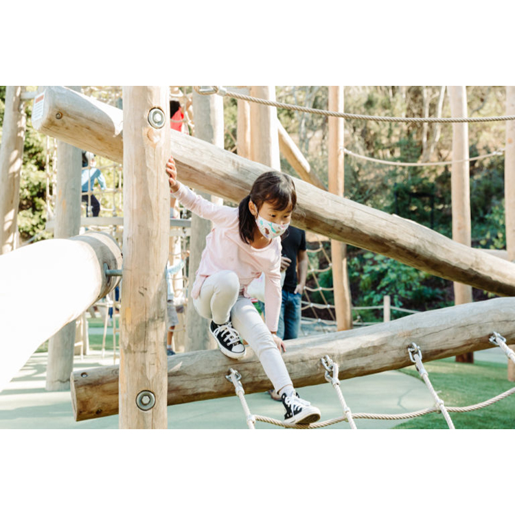 สนามเด็กเล่นเด็กเล่นกลางแจ้งชุ - Kids Outdoor Climbing Frame บทวิจารณ์และราคา